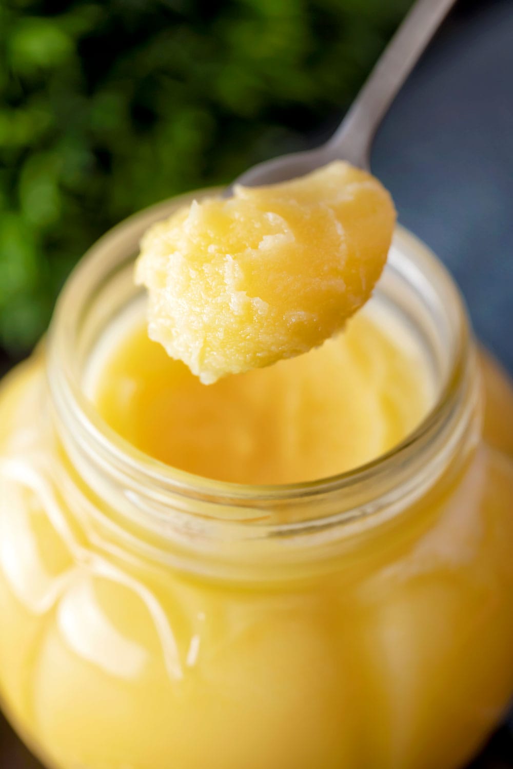 ./CowGhee_1772345109430