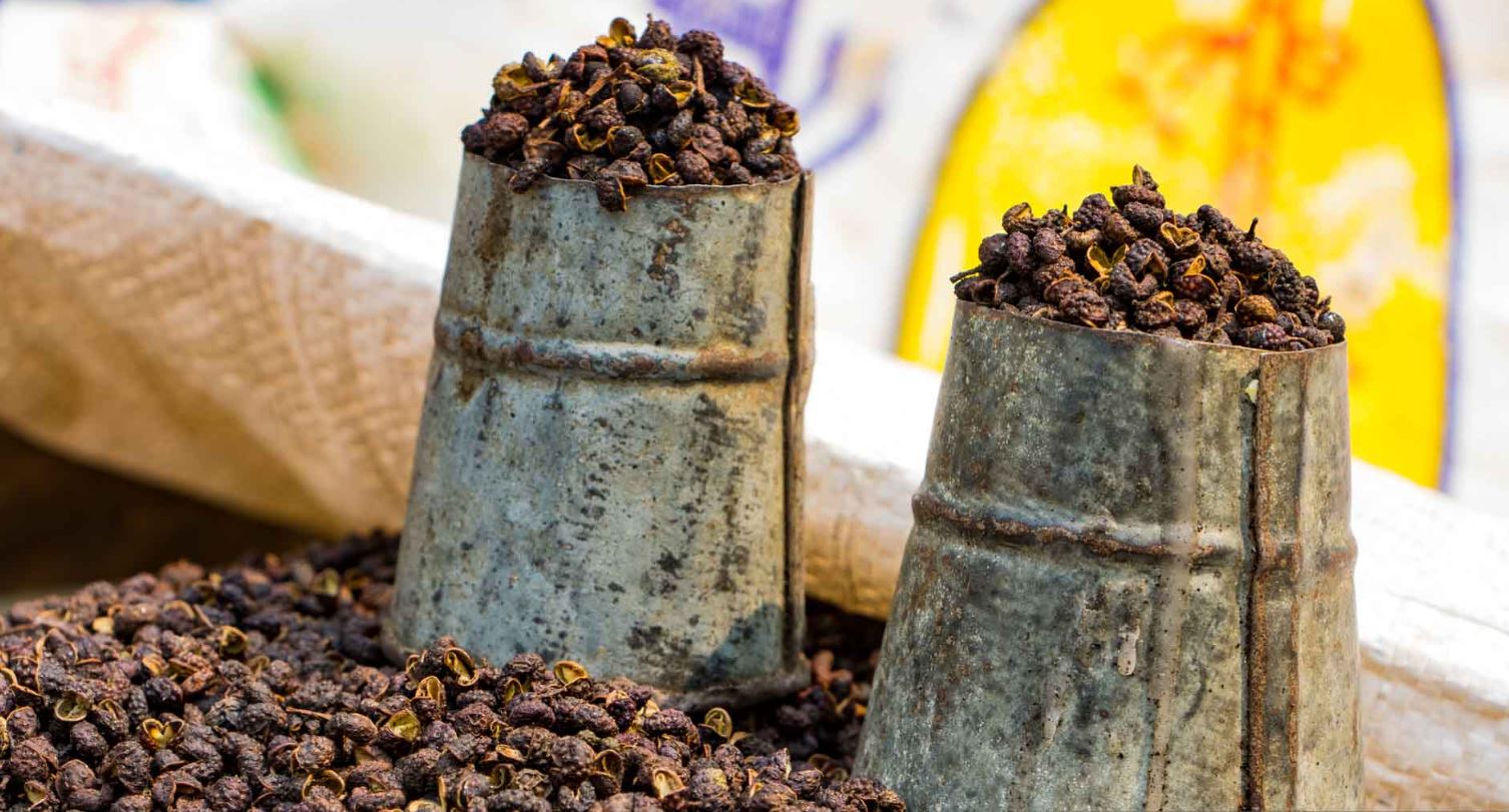 ./Timur_1772345847599